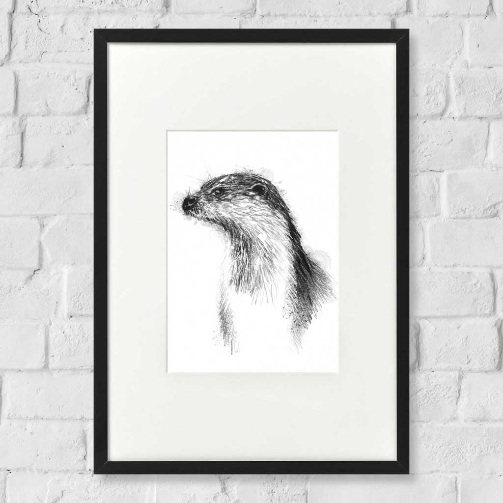British otter sketch