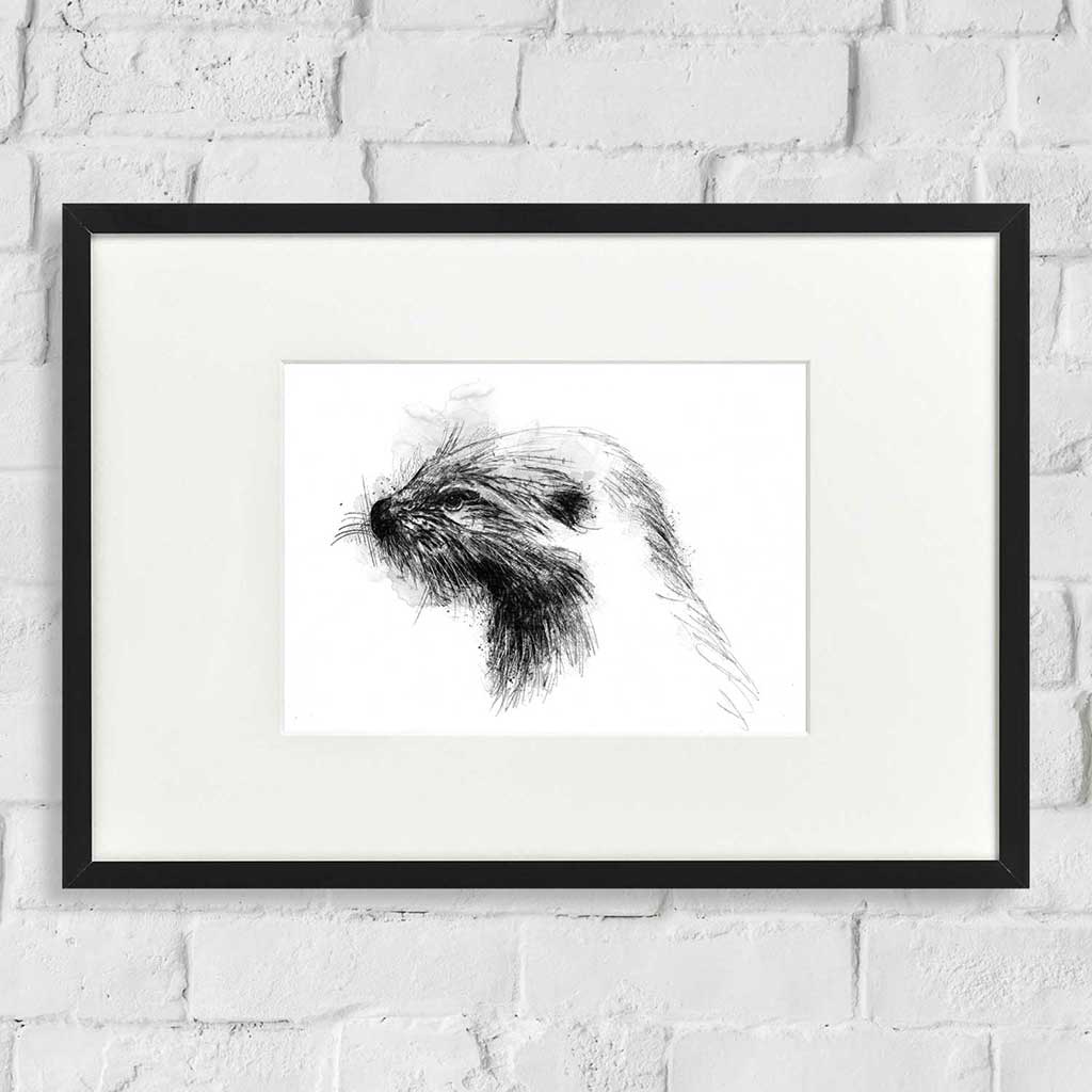 European otter