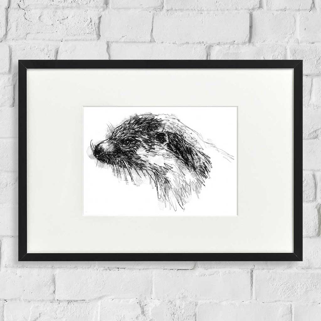 Otter