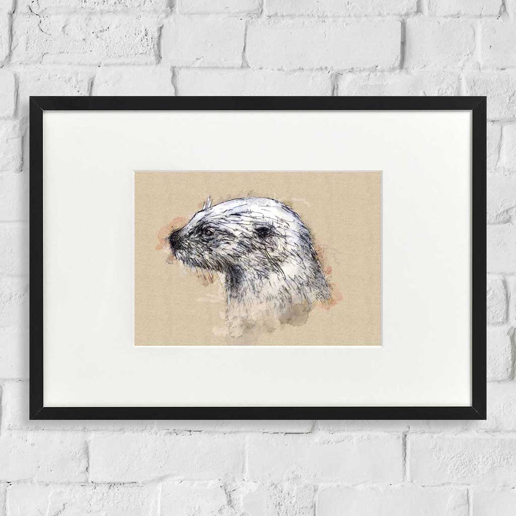 European otter