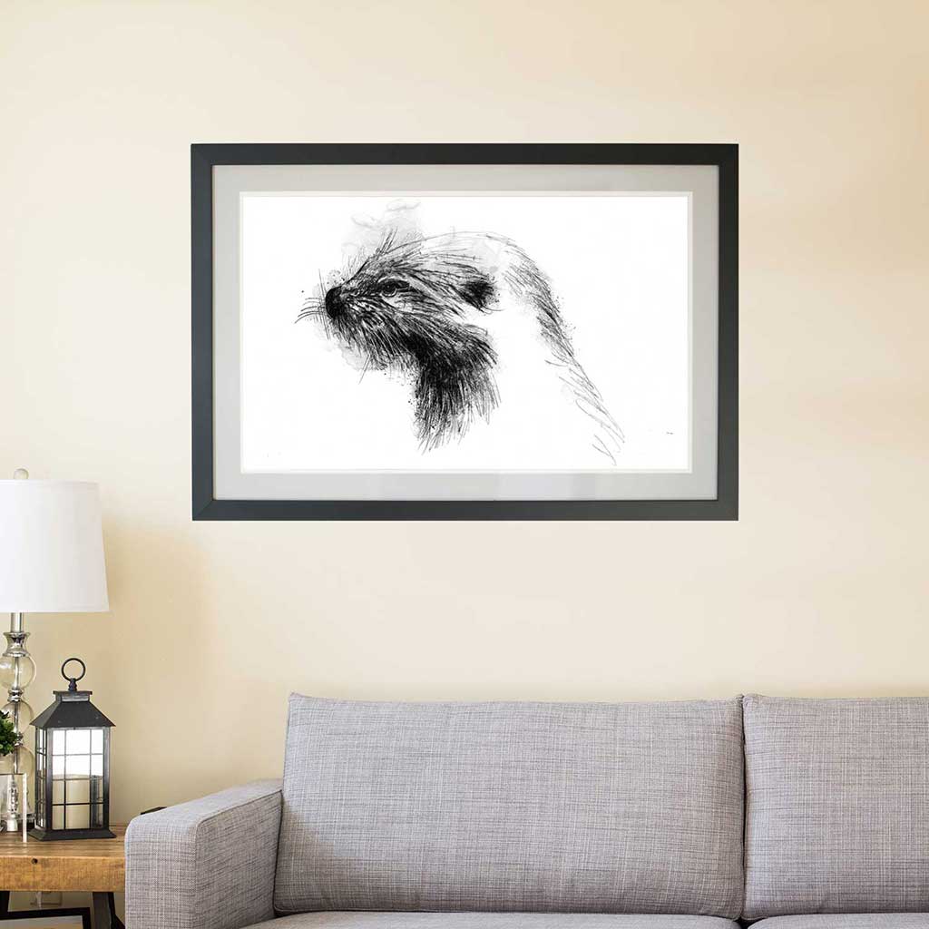 European otter