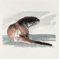 Otter original mini sketch