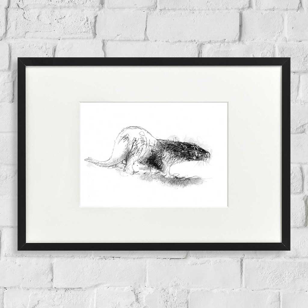 Otter on the move