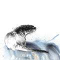 Otter water