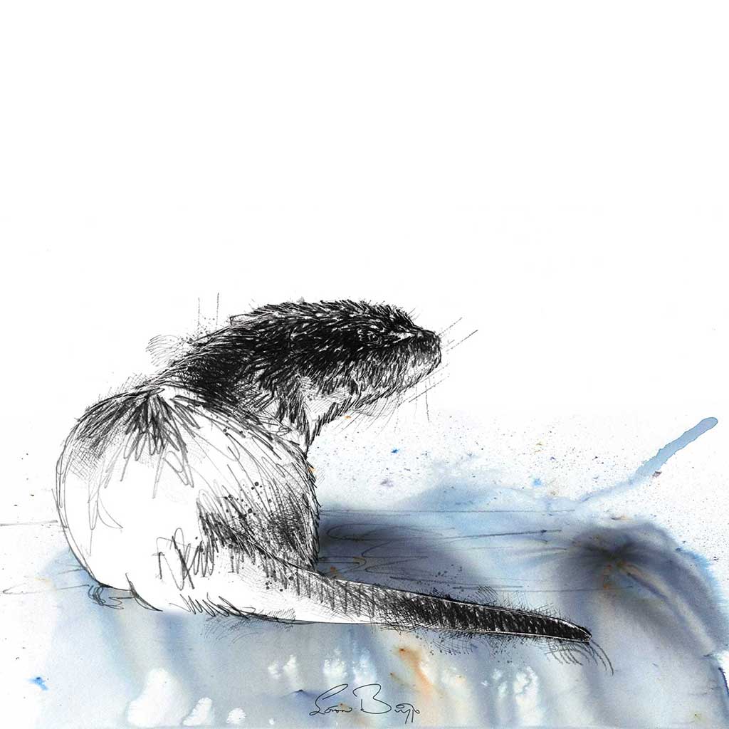 Otter water