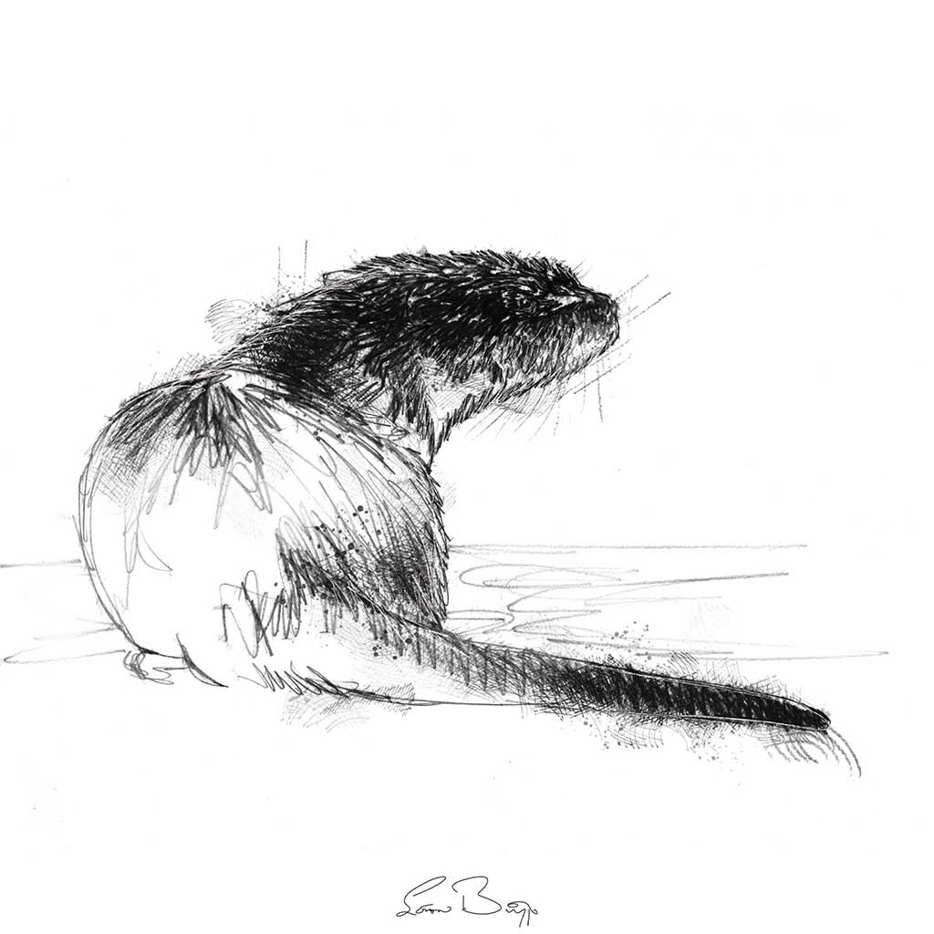 Dog otter
