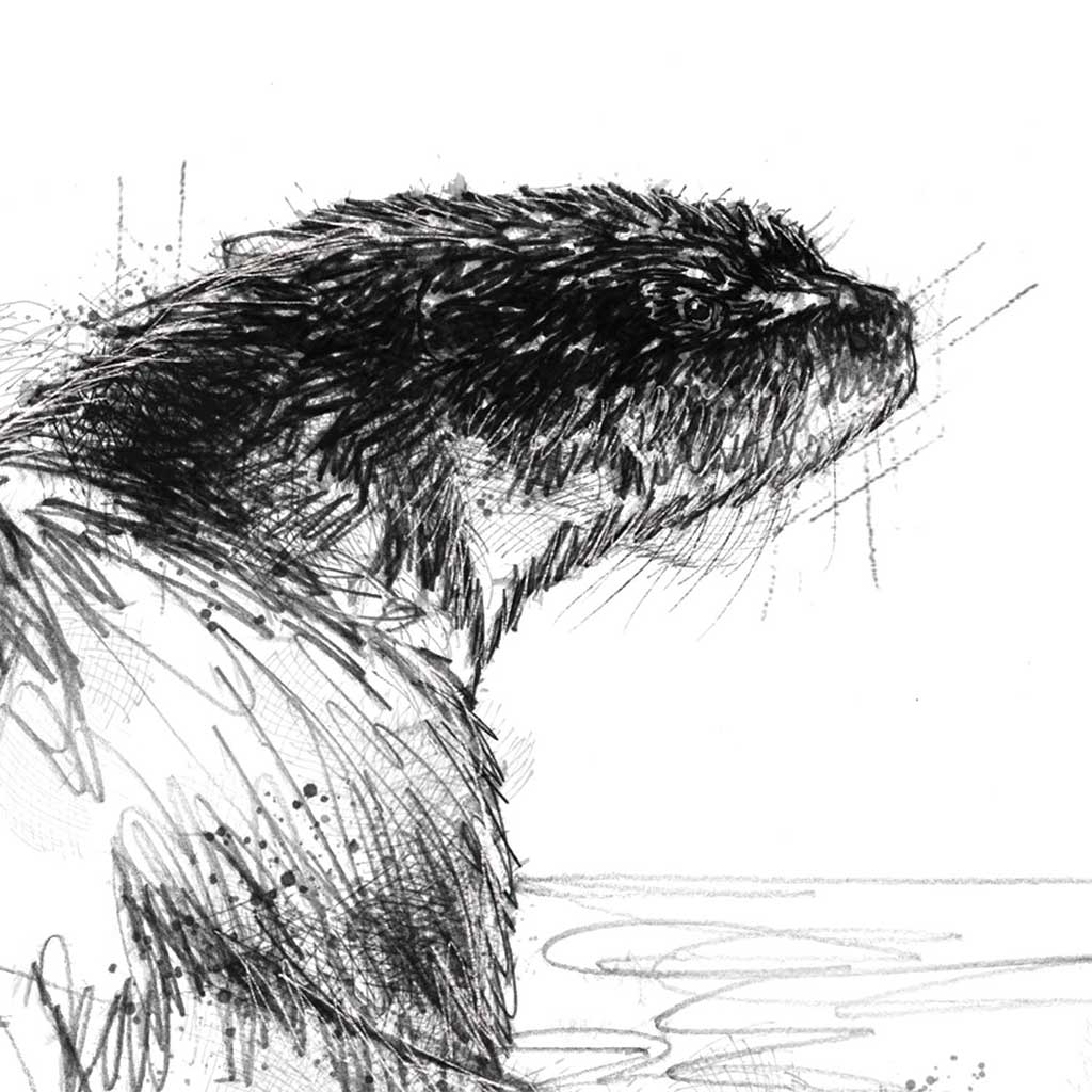 Dog otter