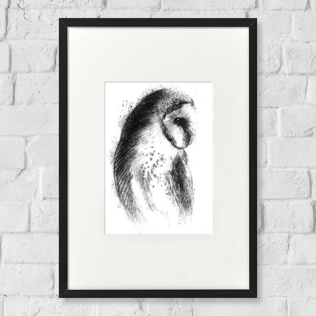 Barn owl