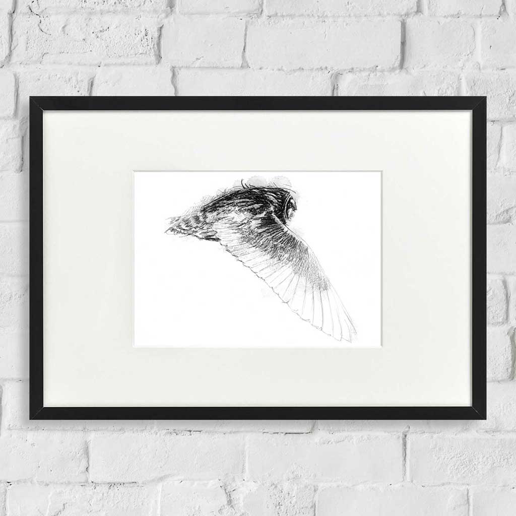 Small eared owl