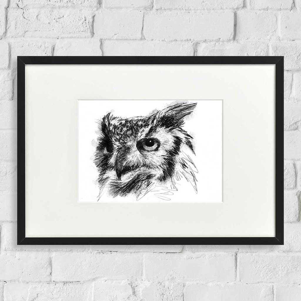 Long eared owl