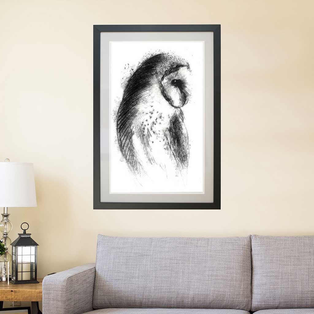 Barn owl