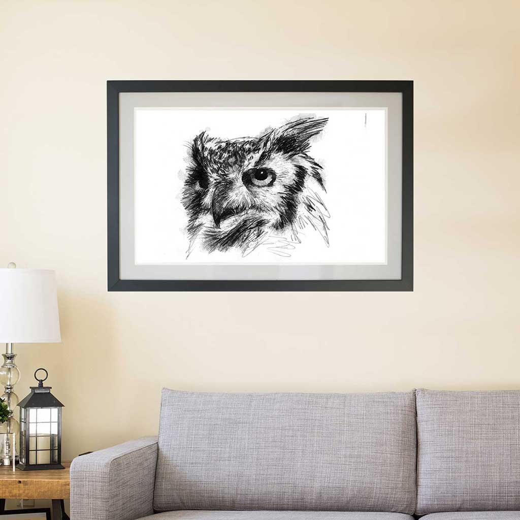 Long eared owl