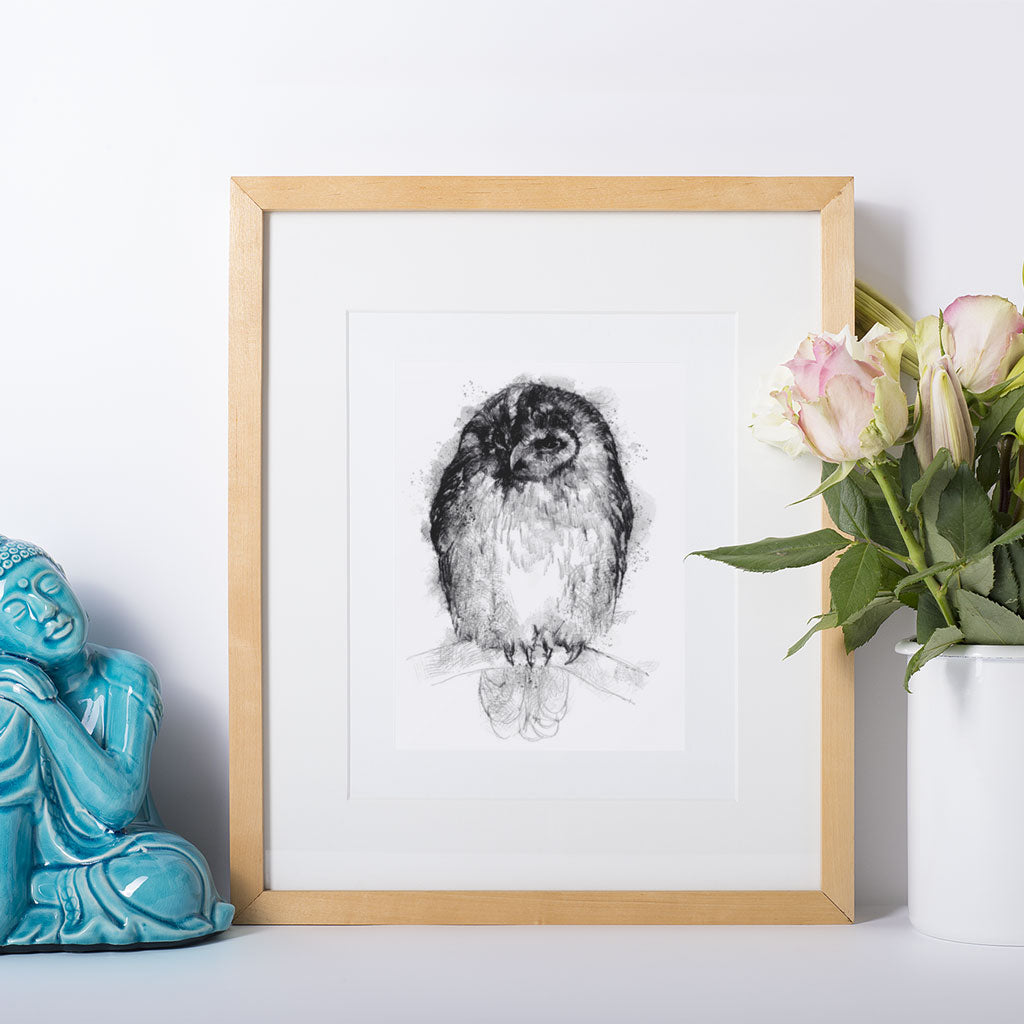 Tawny owl