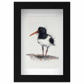 Oyster catcher original sketch