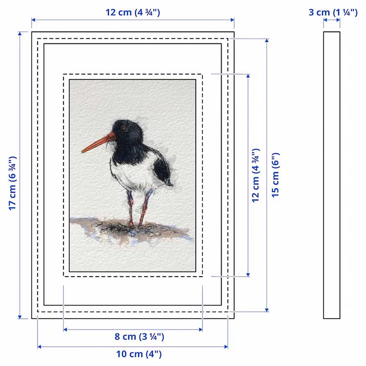 Oyster catcher original sketch