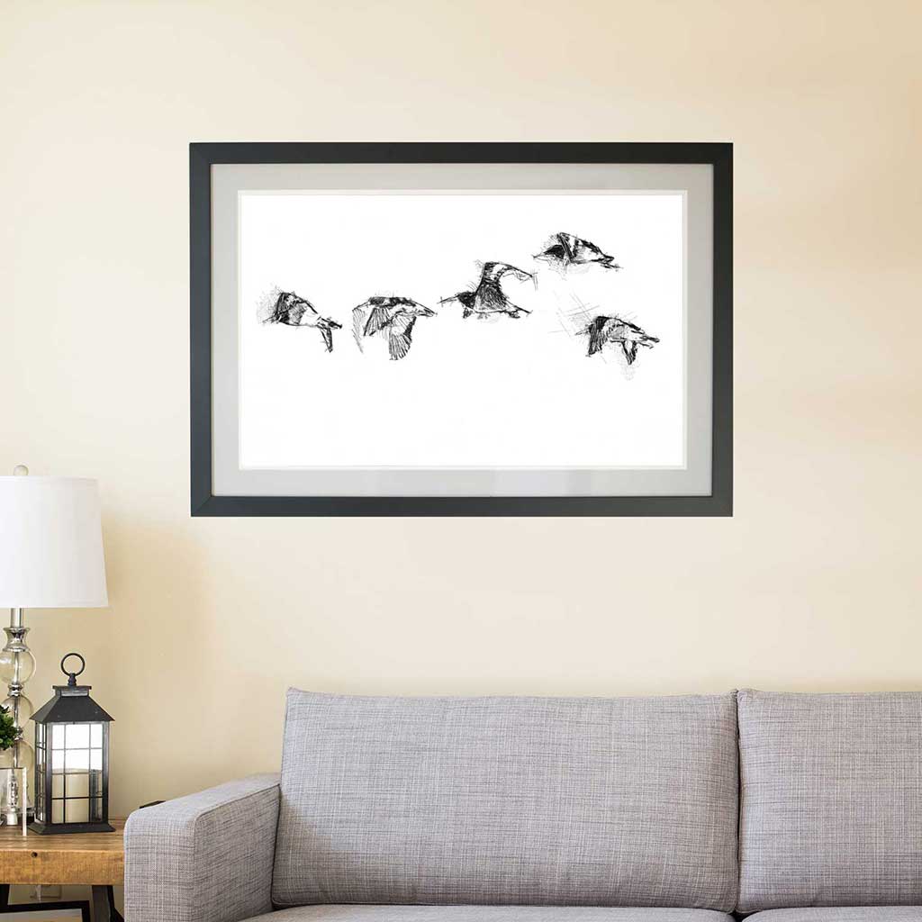 Oyster catchers flight