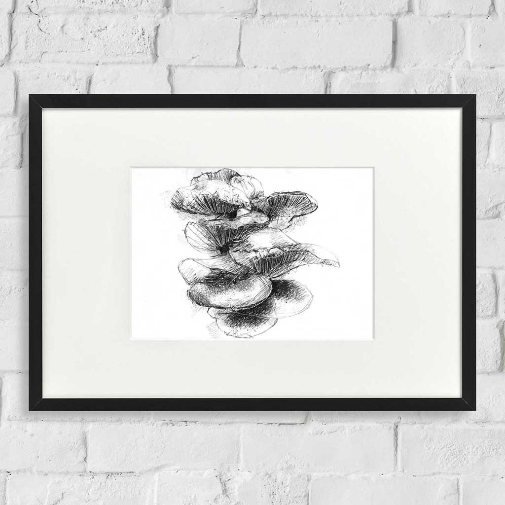 Oyster mushroom