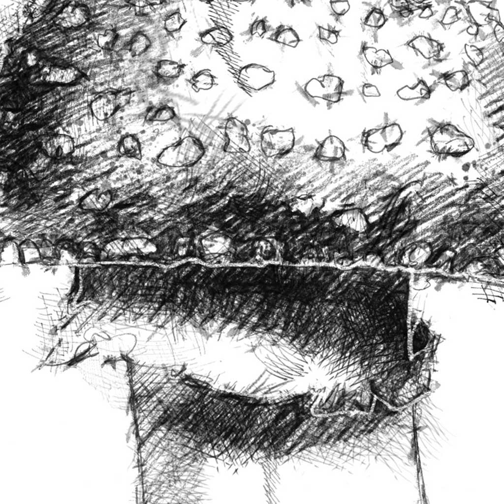 Panthercap fungi