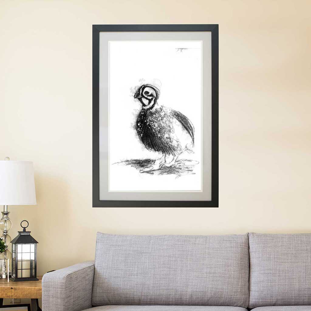 Speckled partridge