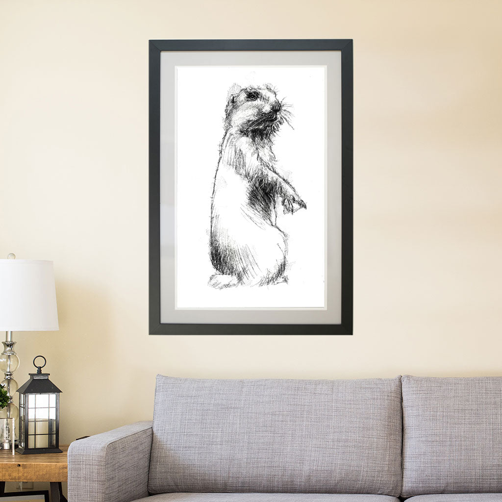 Prairie dog