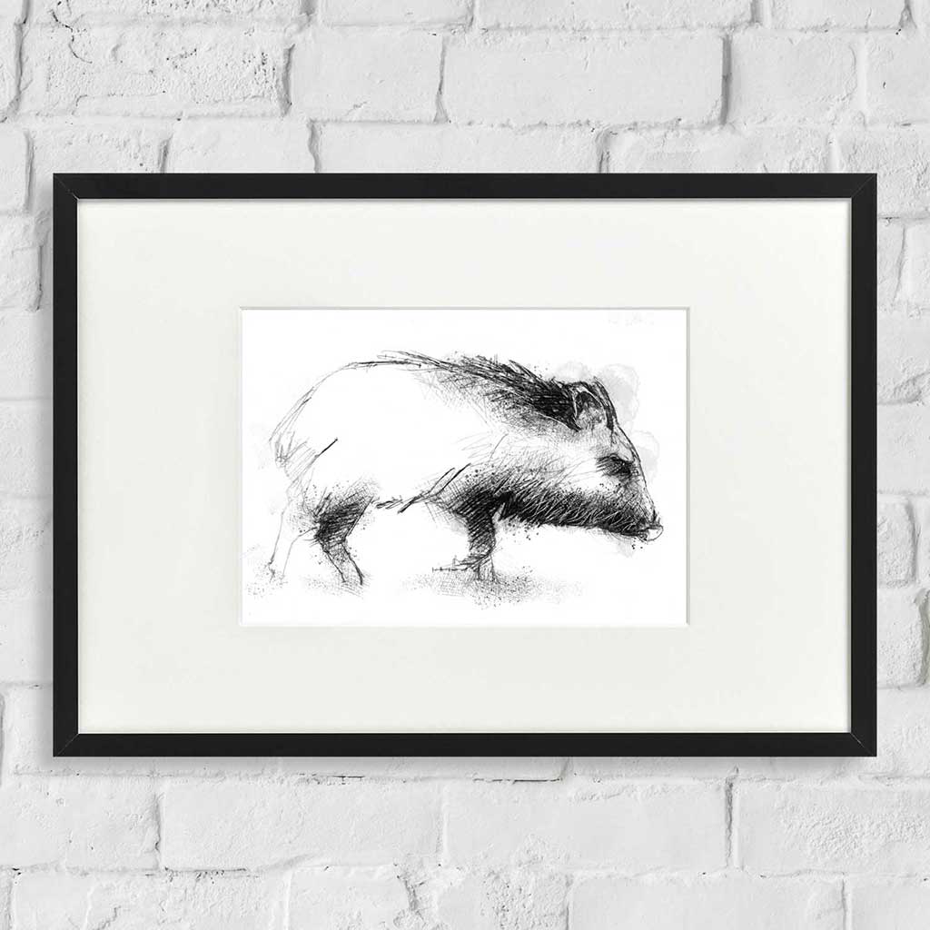 Peccary