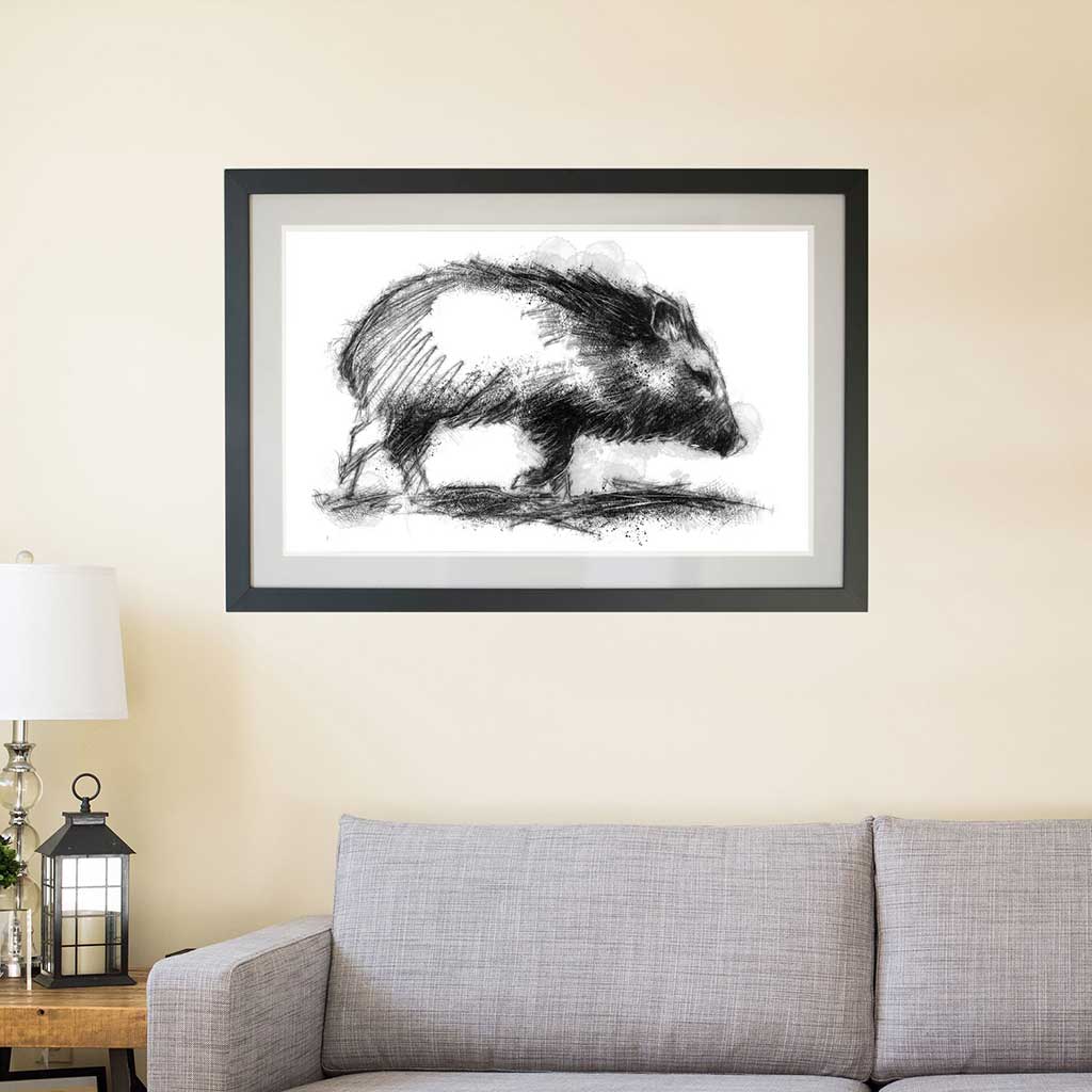 Peccary