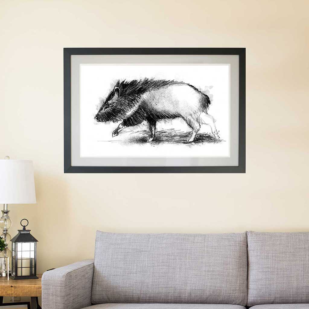 Peccary boar