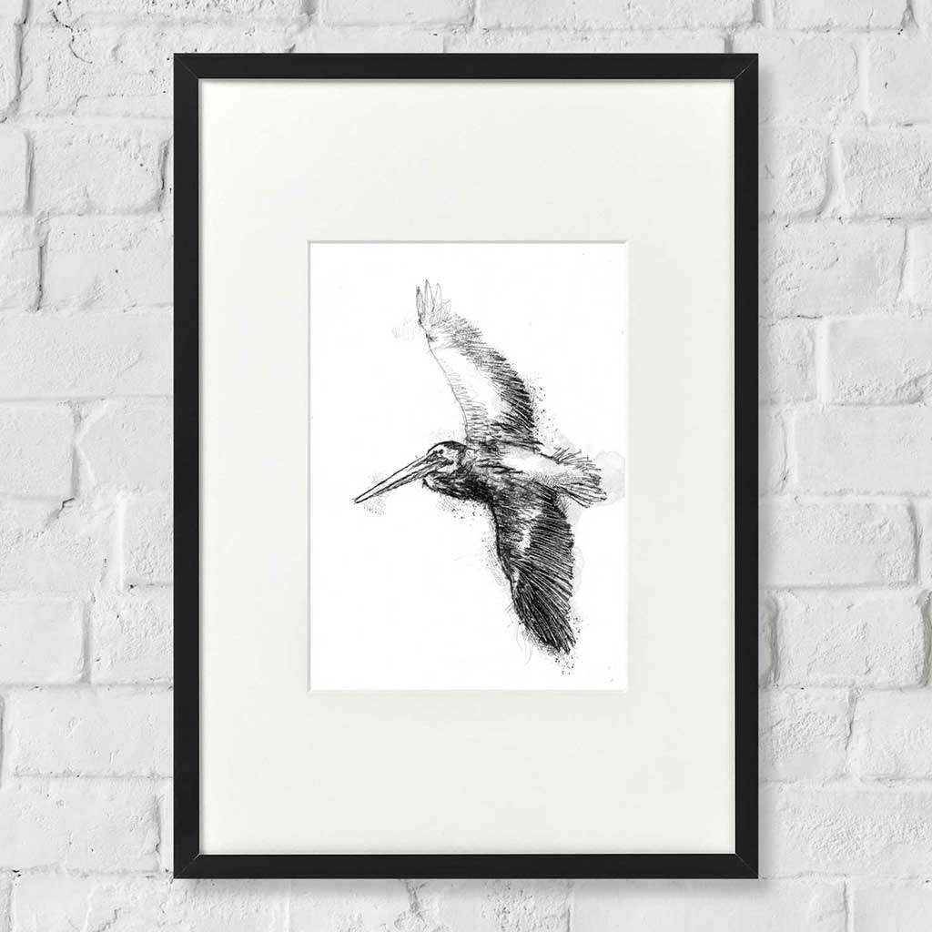 Pelican flight