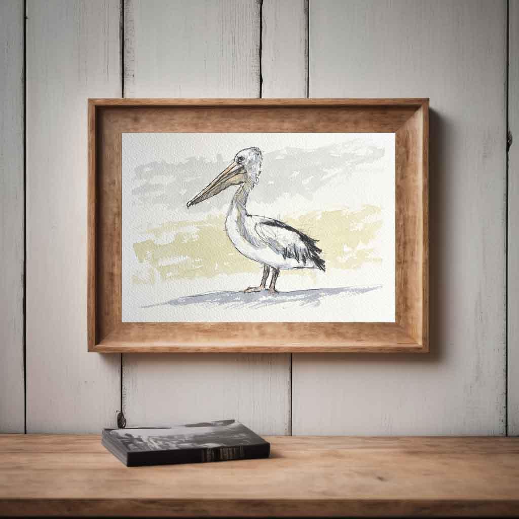 Pelican