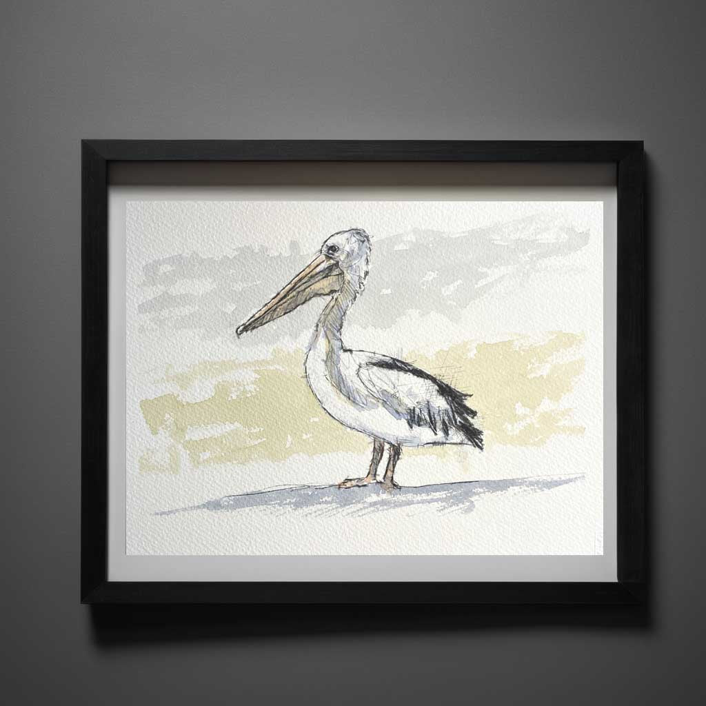 Pelican