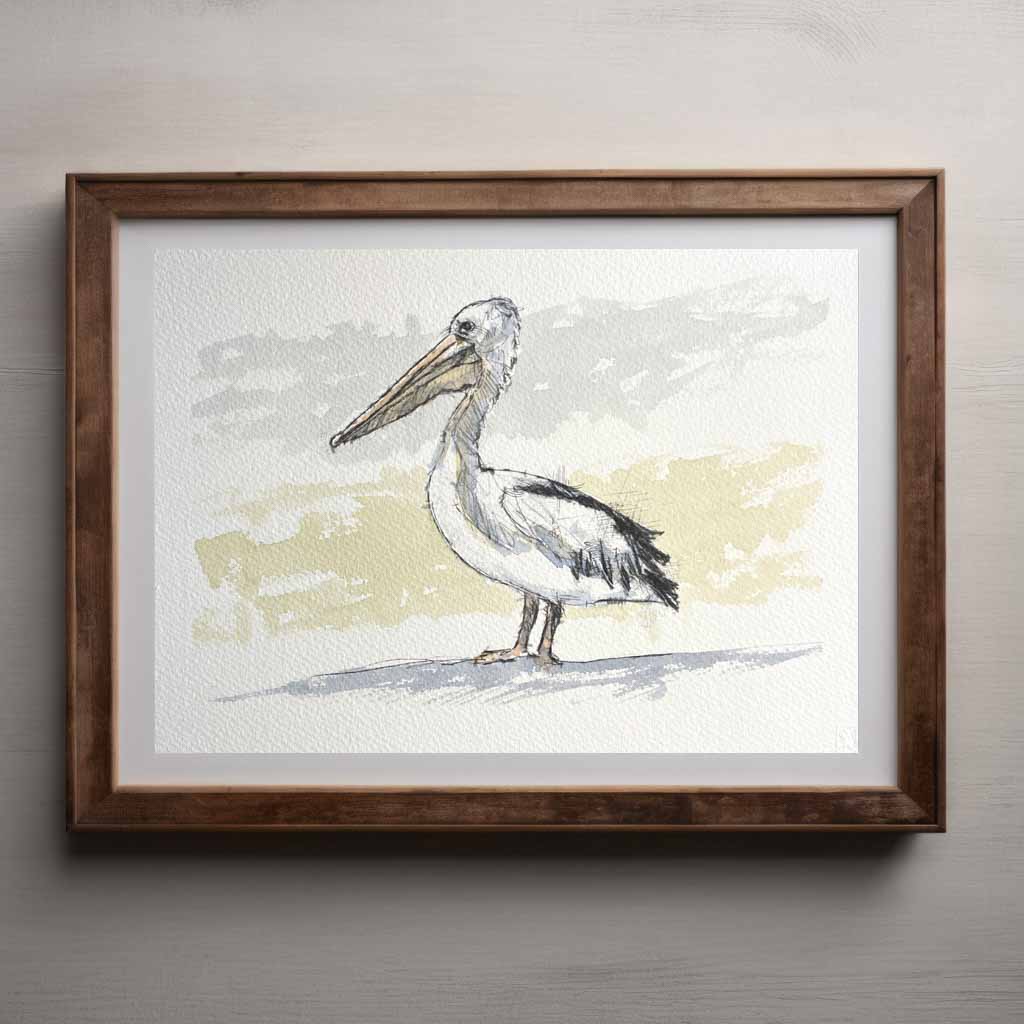 Pelican