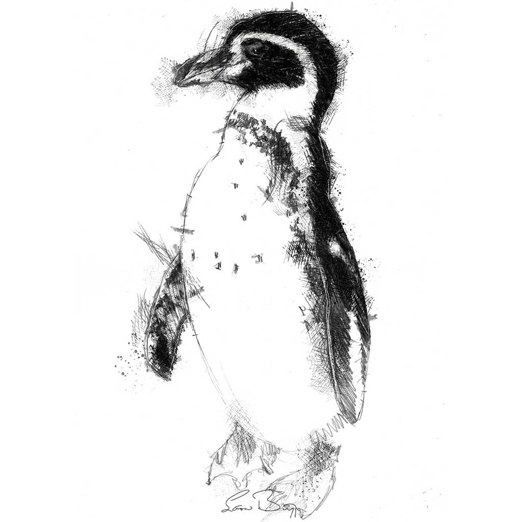 Penguin