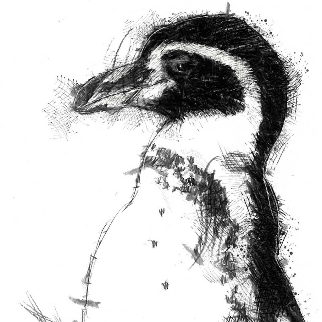 Penguin