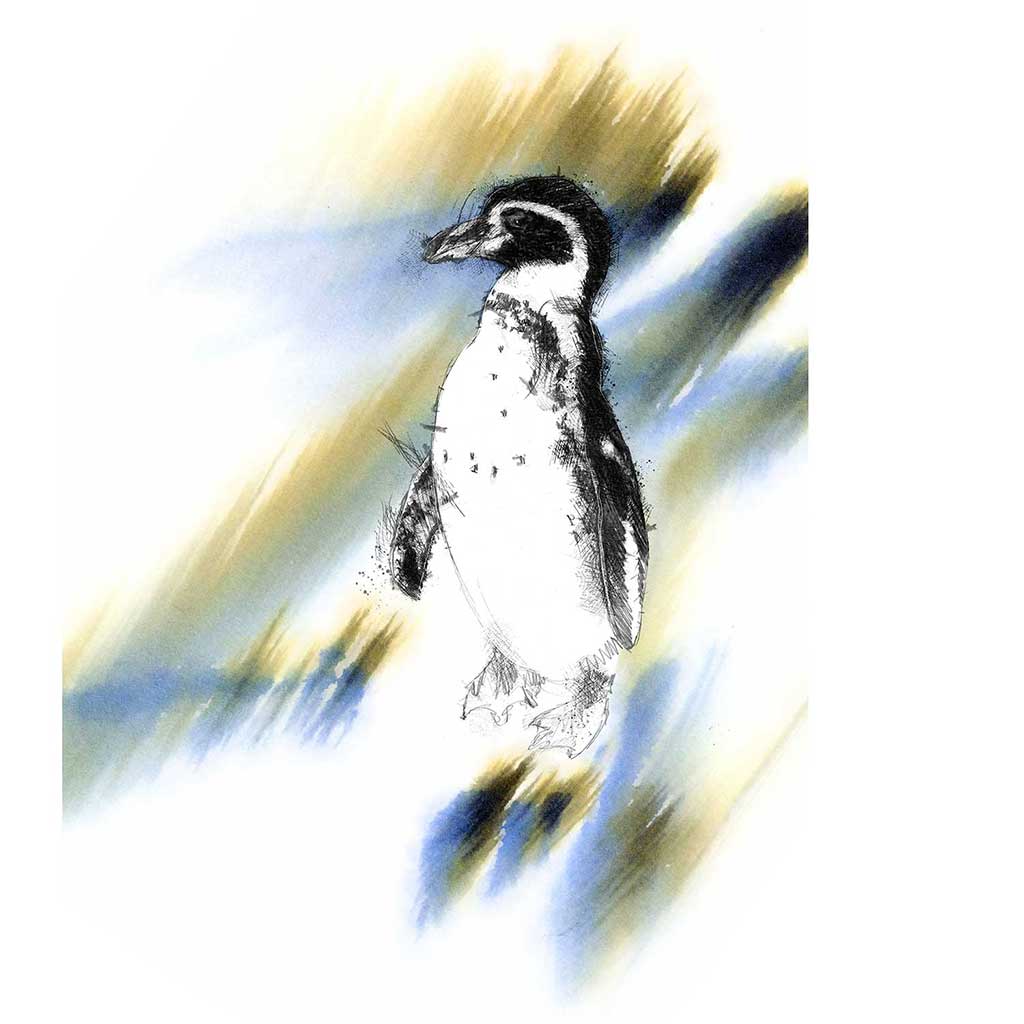 Penguin