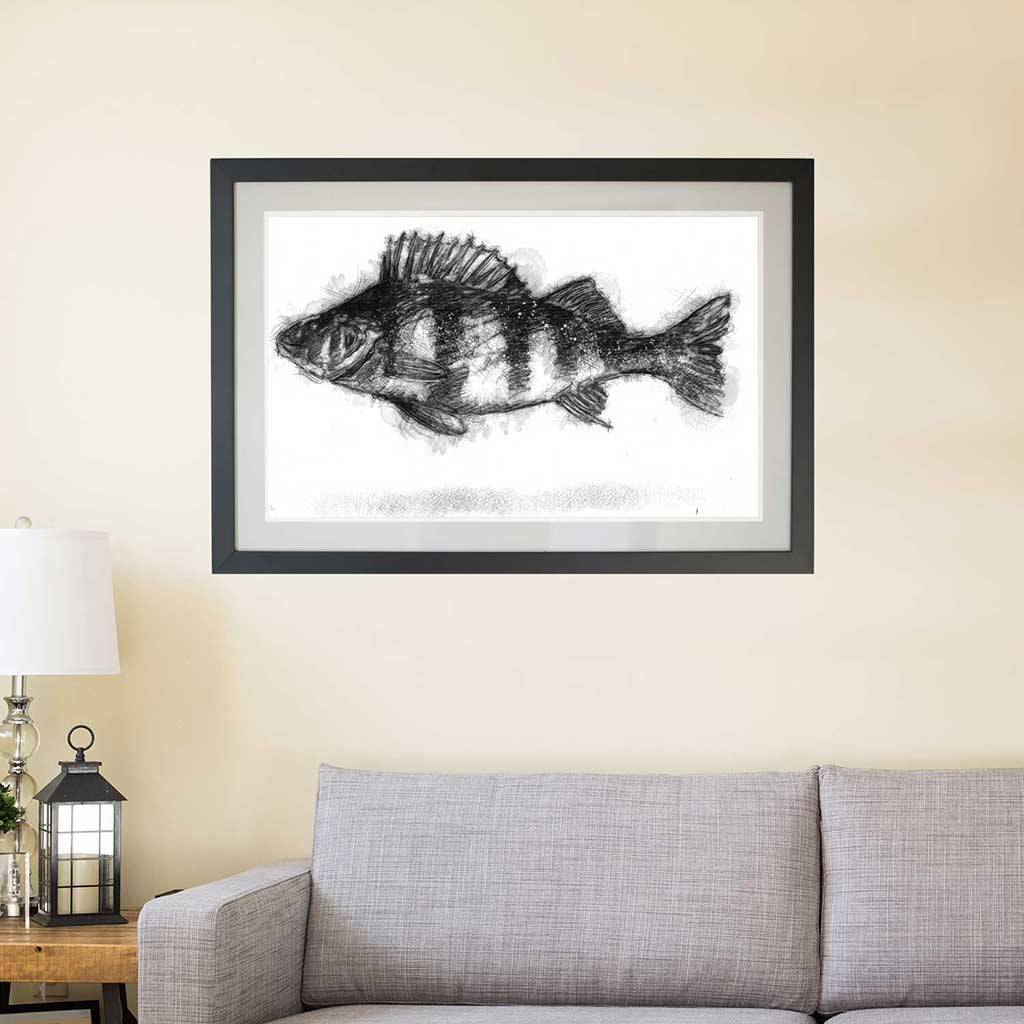 Perch fish