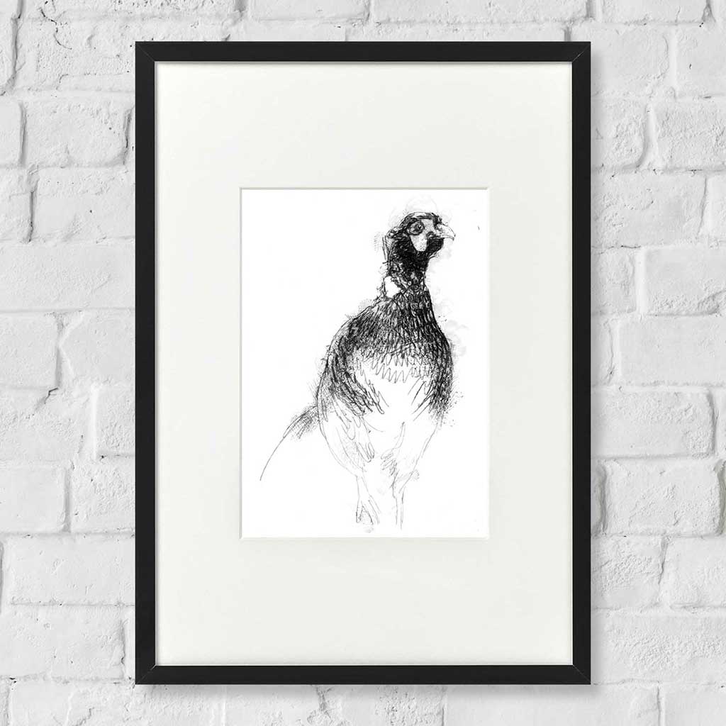 Pheasant