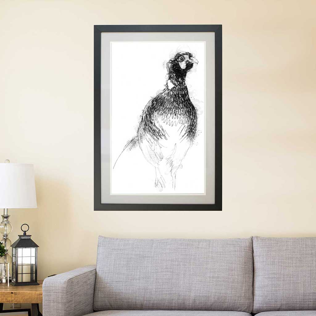 Pheasant
