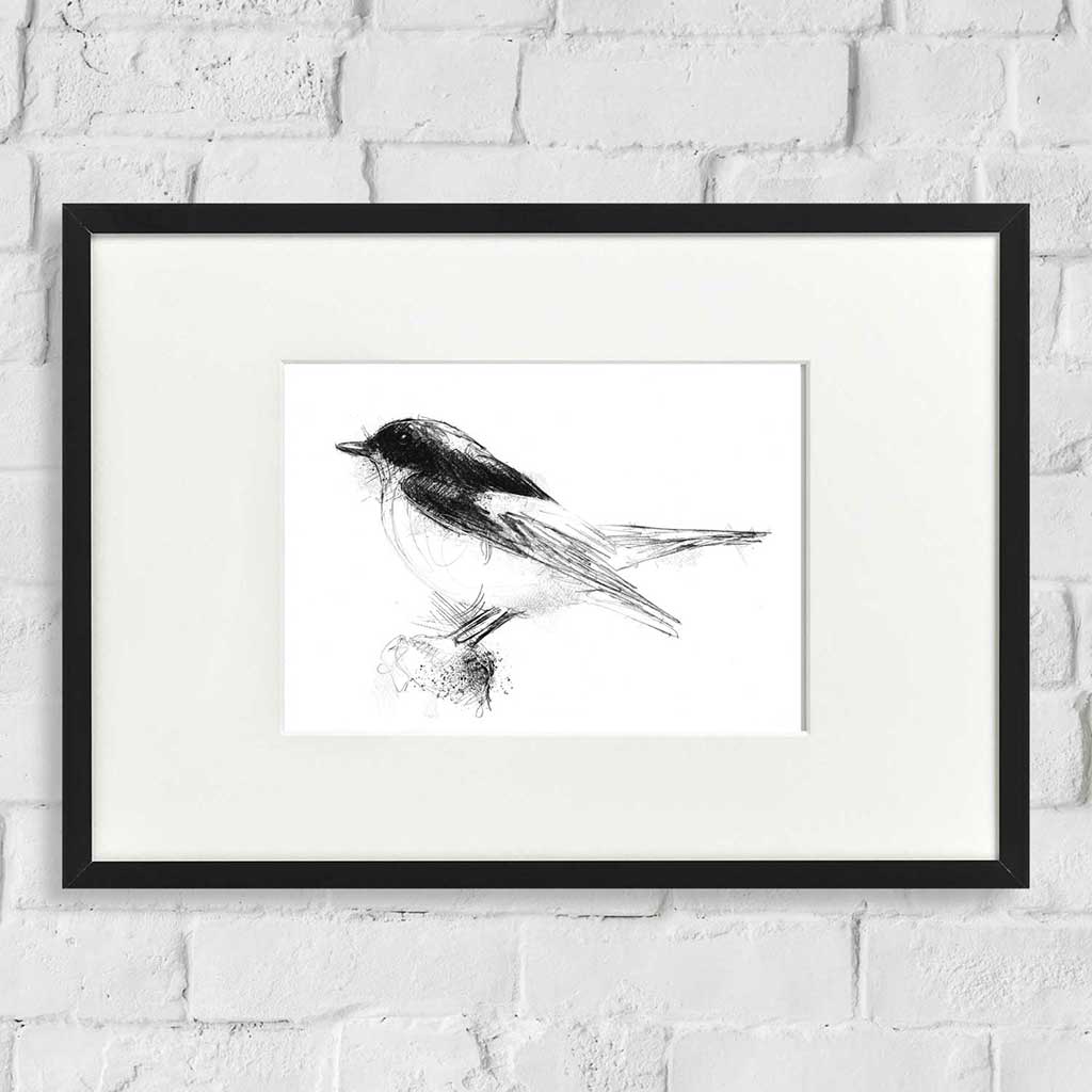Pied fly catcher