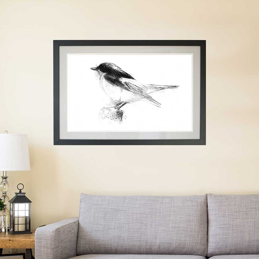 Pied fly catcher