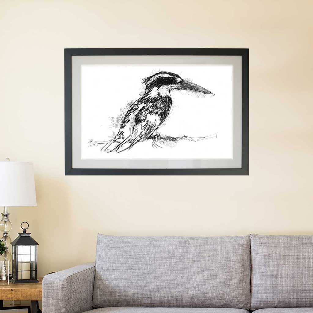 Pied kingfisher