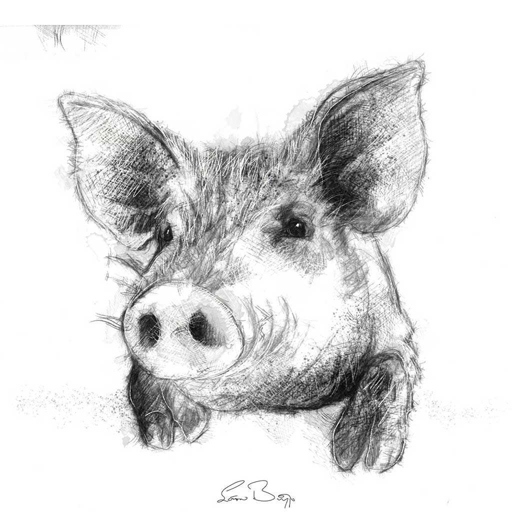 Pig
