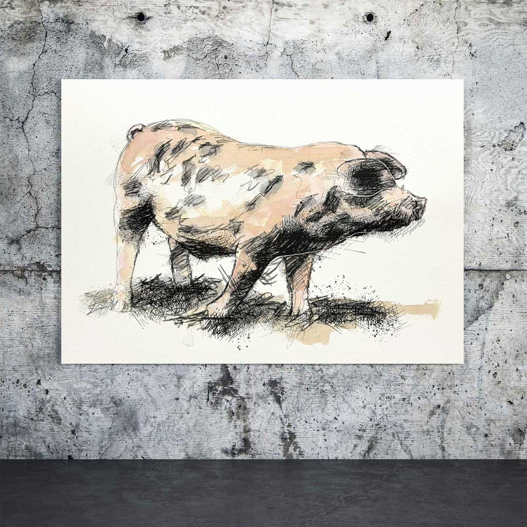 Gloucestershire Old Spots