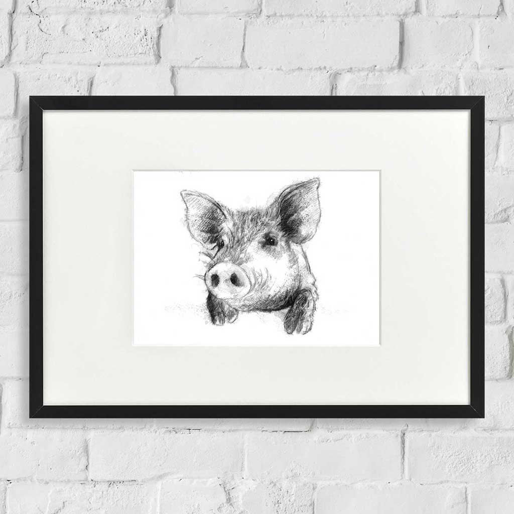 Pig
