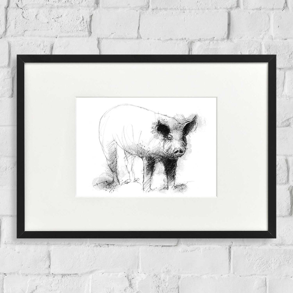 Pig
