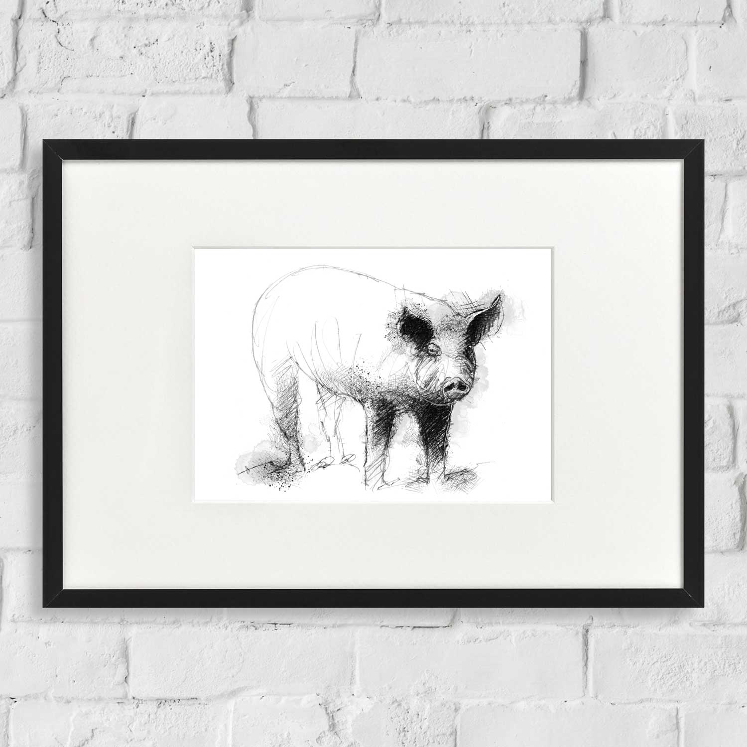 Pig