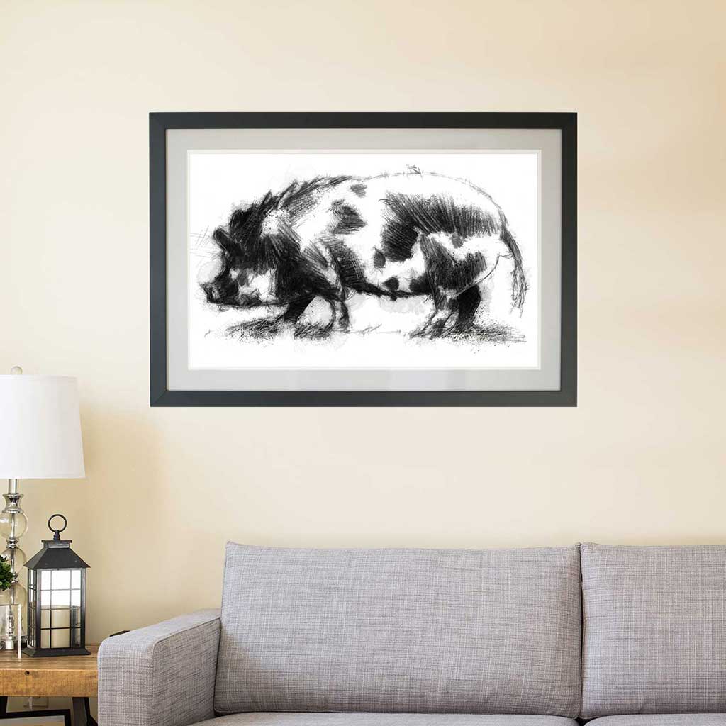 Scruffy pig