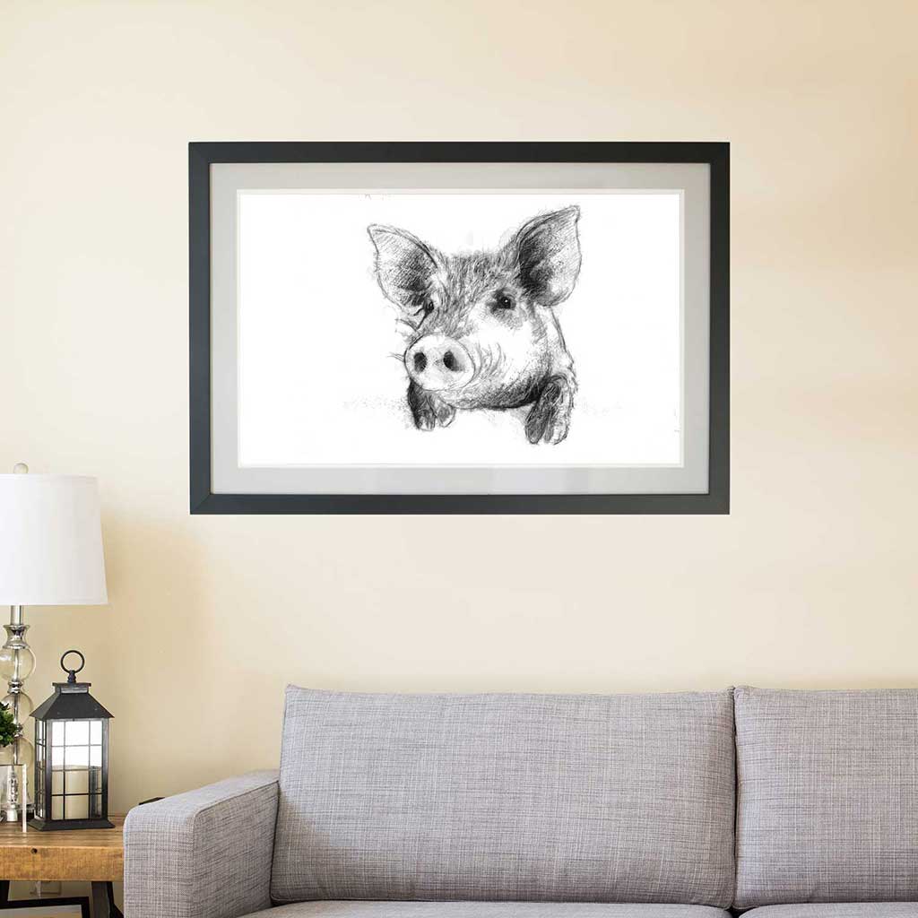 Pig