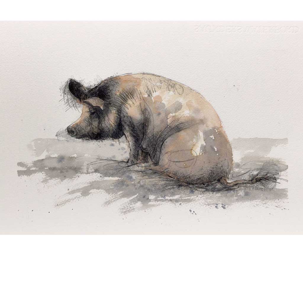 Pig in mud