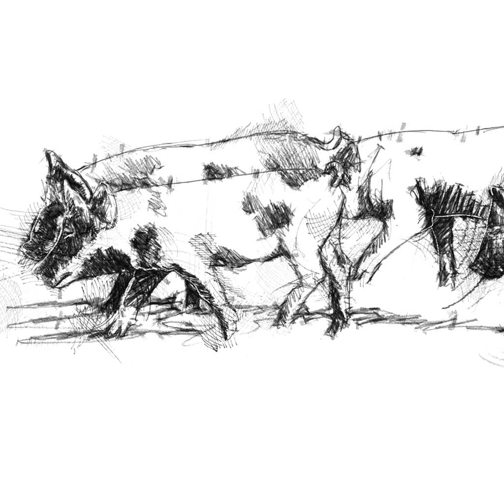 Piglet stroll wide format