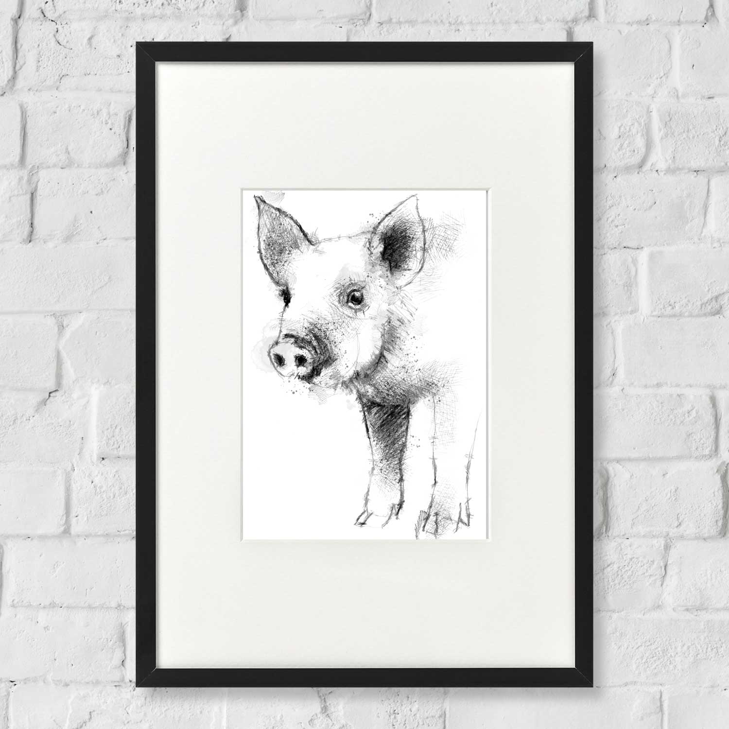 Little piglet